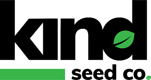 Cannabis Seeds California Your Ultimate Guide to Growing in the Golden State Cannabis Seeds California Your Ultimate Guide to Growing in the Golden State